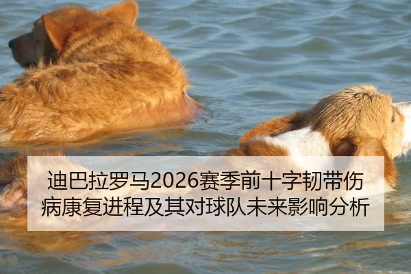 迪巴拉罗马2026赛季前十字韧带伤病康复进程及其对球队未来影响分析